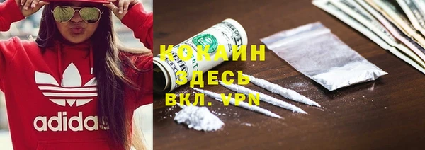 ешки Дмитриев