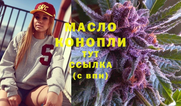 ешки Дмитриев