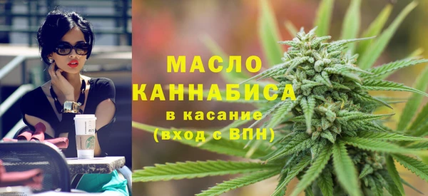 ешки Дмитриев