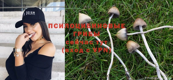 MDMA Premium VHQ Дмитров
