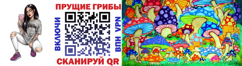 Купить  Чегем  Псилоцибиновые грибы мицелий 